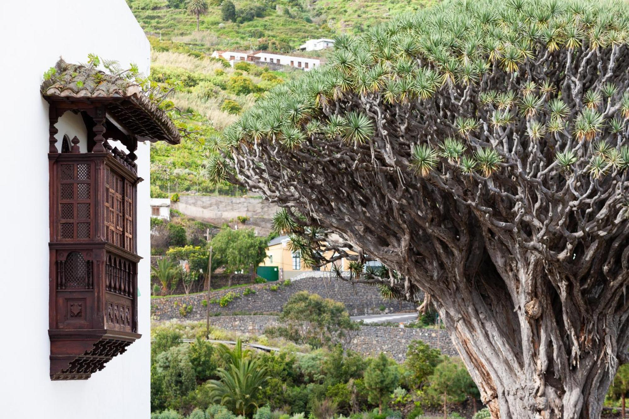 Cozy Seafront Studio With Balcony & Ocean Views San Marcos  Luaran gambar